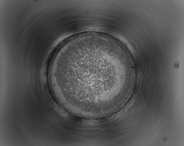 X0000102861019200809021419