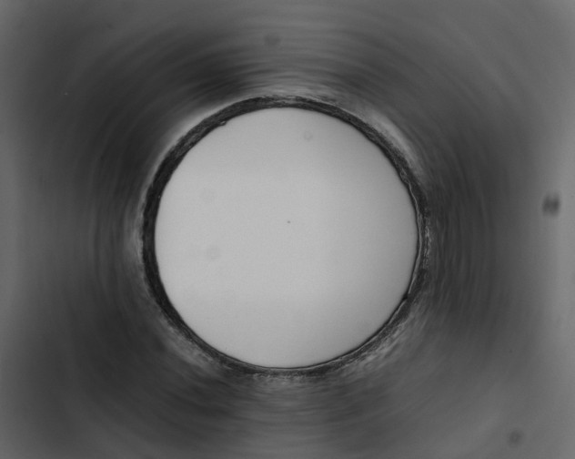 X0000102861020200809021419