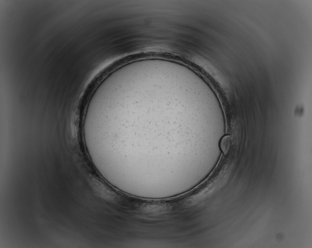 X0000102861021200809021419