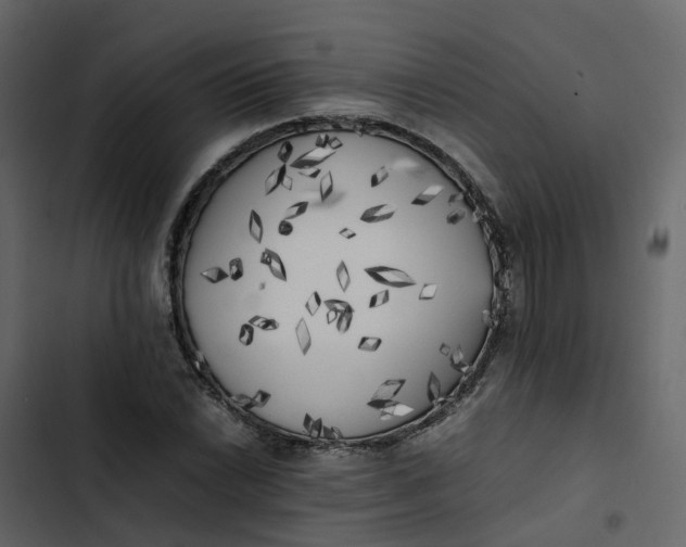 X0000102861022200809021419