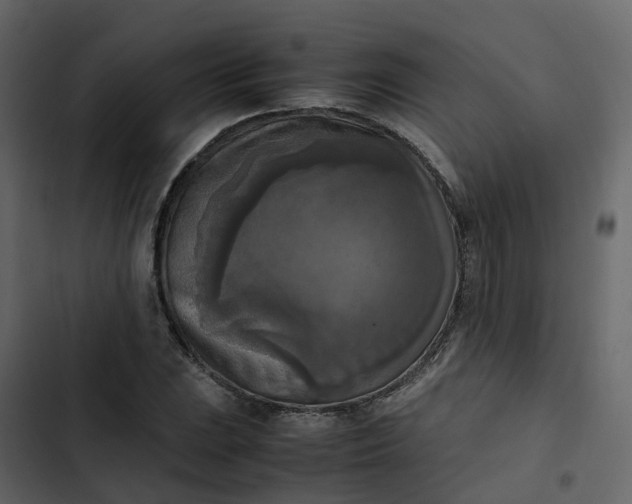 X0000102861023200809021419