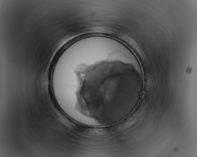 X0000102861024200809021419