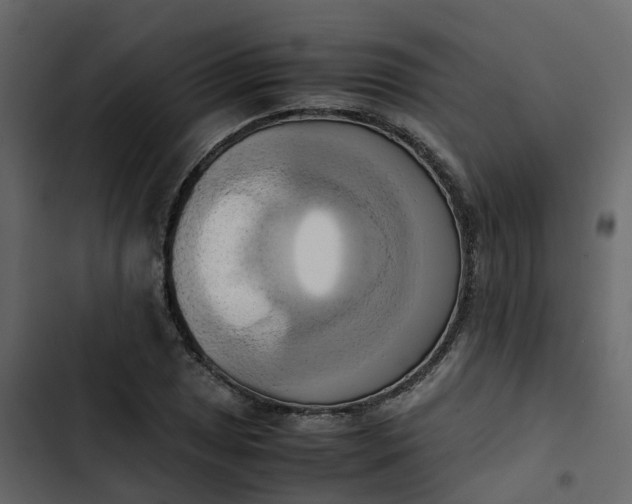 X0000102861025200809021419