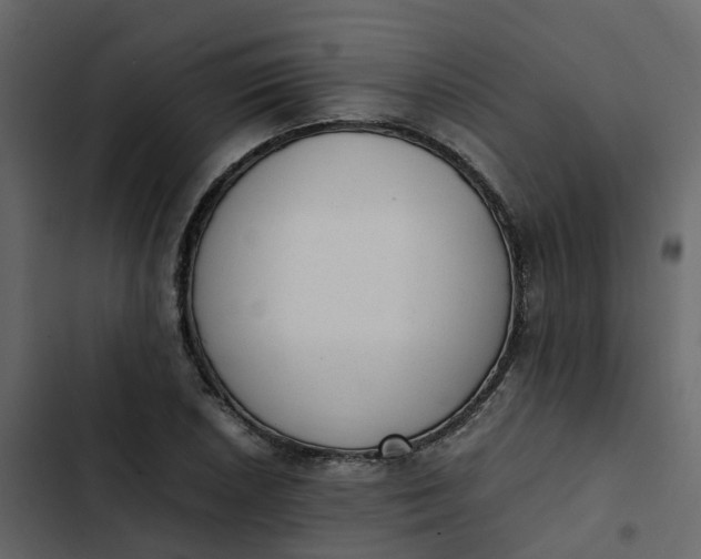 X0000102861026200809021419