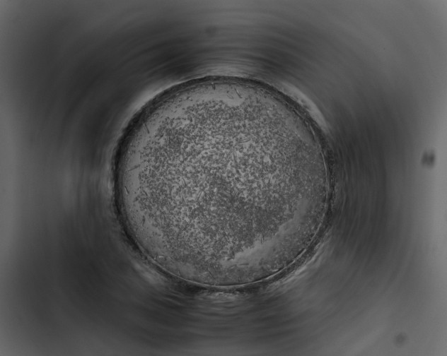 X0000102861027200809021419