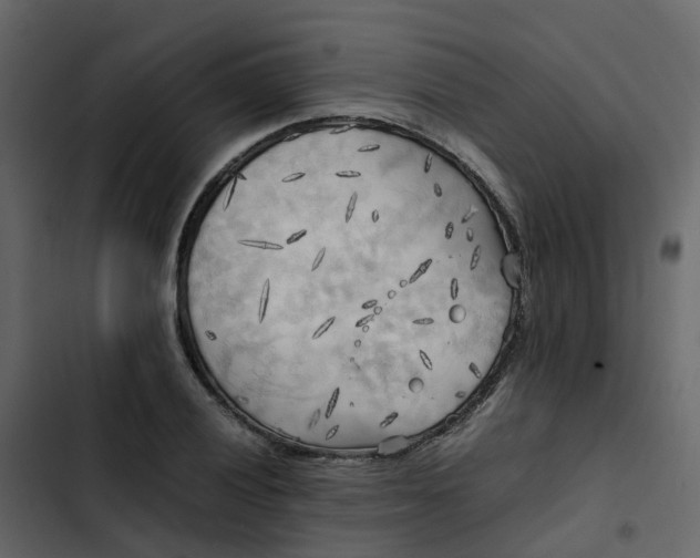 X0000102861028200809021419