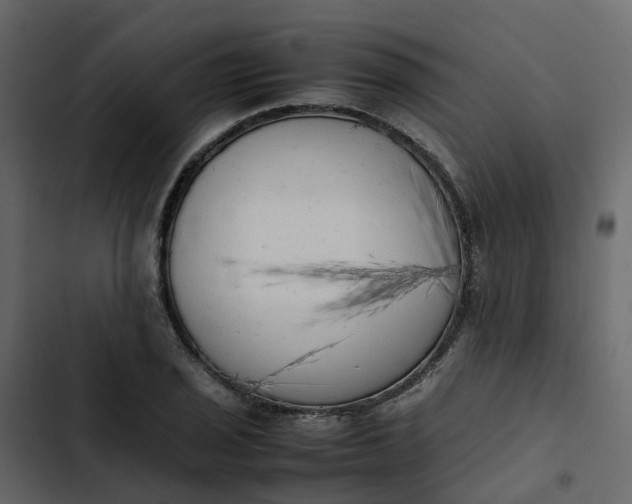 X0000102861029200809021419