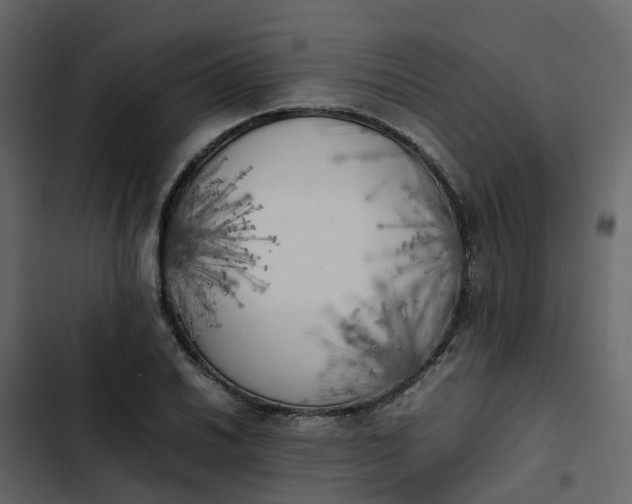 X0000102861030200809021419