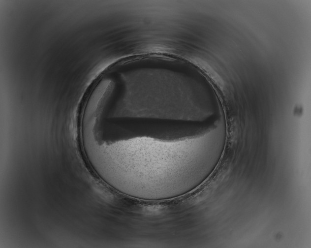 X0000102861031200809021419