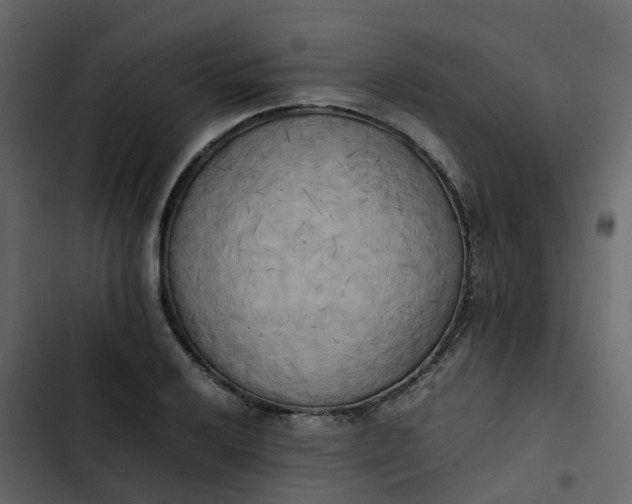 X0000102861032200809021419