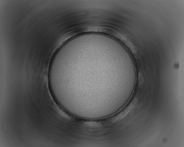 X0000102861033200809021419