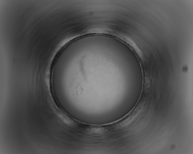 X0000102861035200809021419