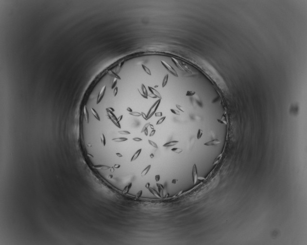 X0000102861036200809021419