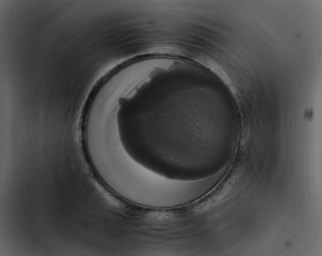 X0000102861037200809021419