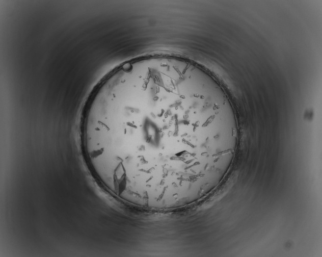 X0000102861038200809021419