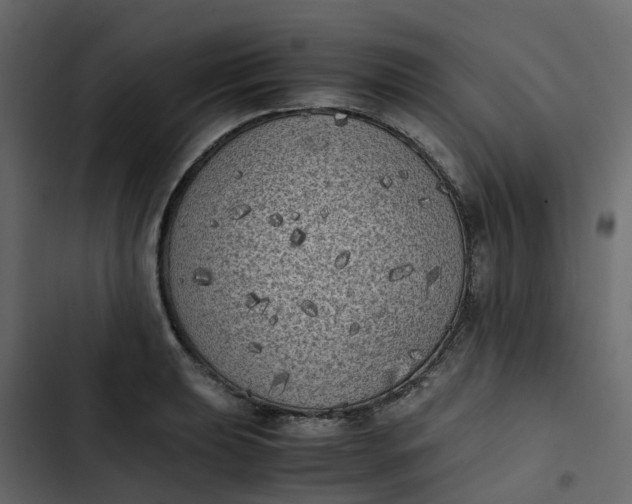 X0000102861039200809021420