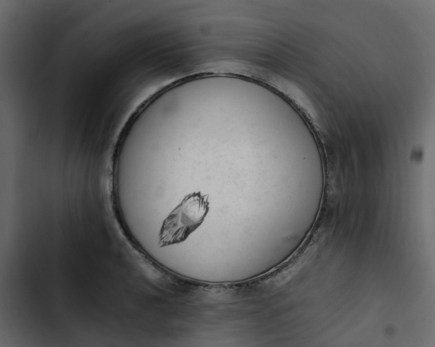 X0000102861040200809021420