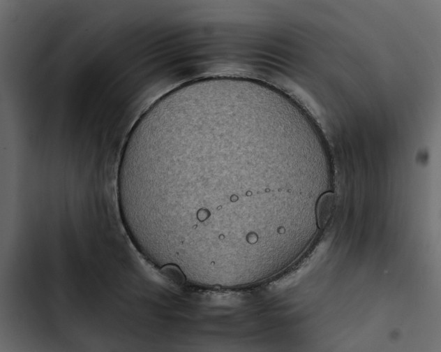 X0000102861041200809021420