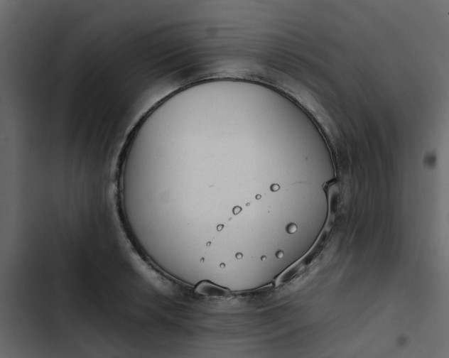 X0000102861042200809021420