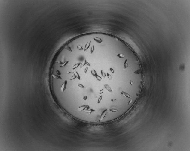 X0000102861043200809021420