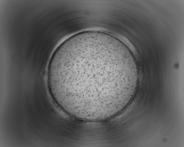 X0000102861044200809021420