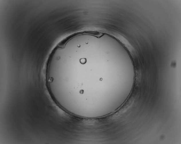 X0000102861046200809021420