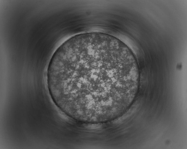 X0000102861047200809021420