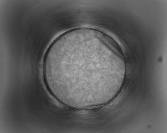 X0000102861048200809021420