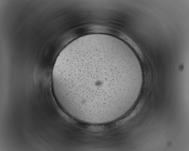 X0000102861049200809021420