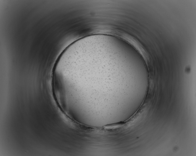 X0000102861050200809021420