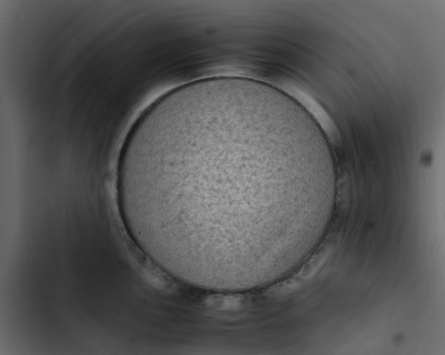 X0000102861051200809021420