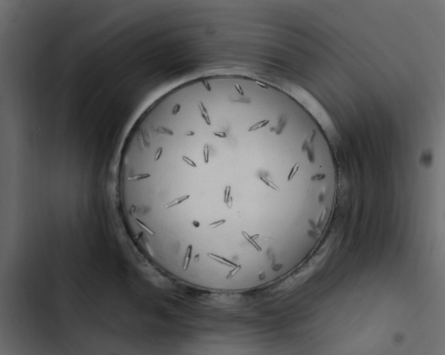 X0000102861052200809021420