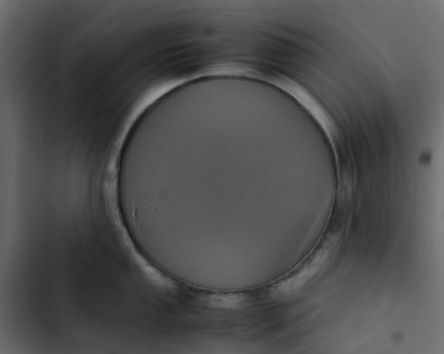 X0000102861053200809021420