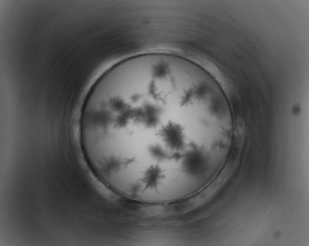 X0000102861054200809021420