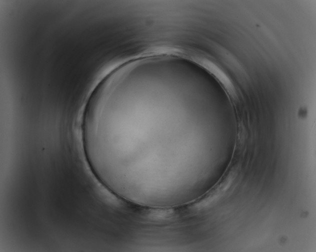 X0000102861055200809021420