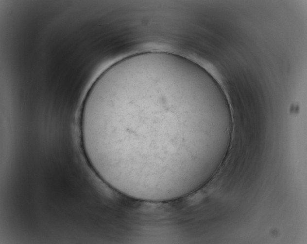 X0000102861056200809021420