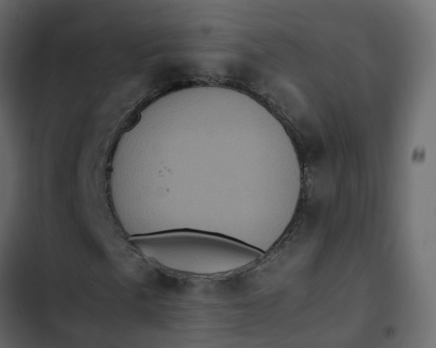 X0000102861057200809021419