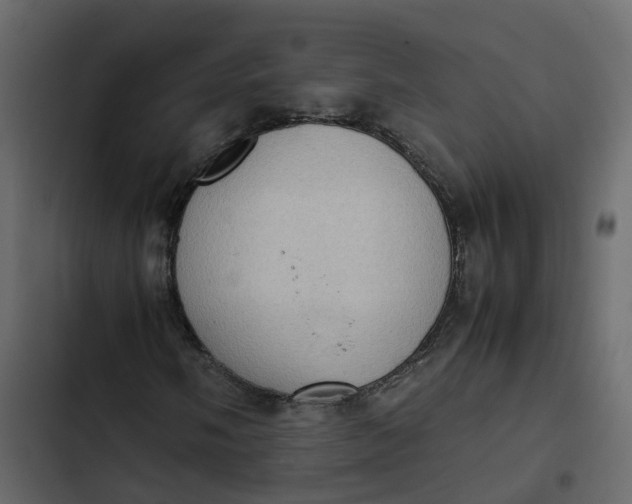 X0000102861058200809021419