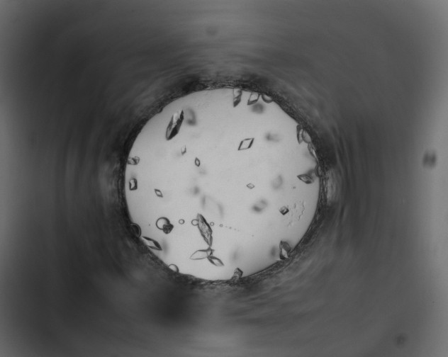 X0000102861059200809021419