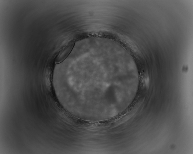 X0000102861060200809021419