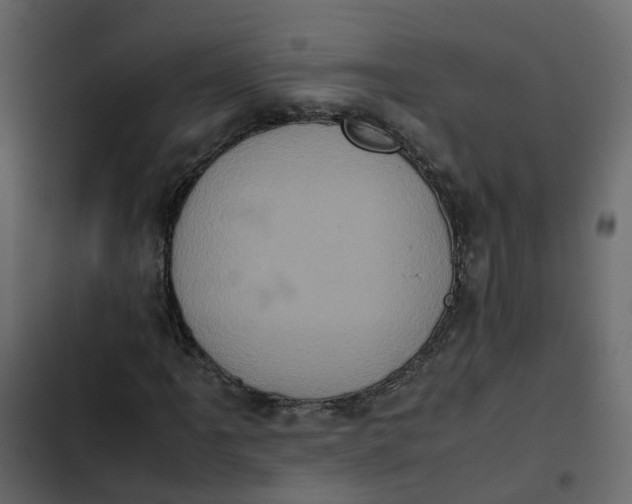 X0000102861061200809021419