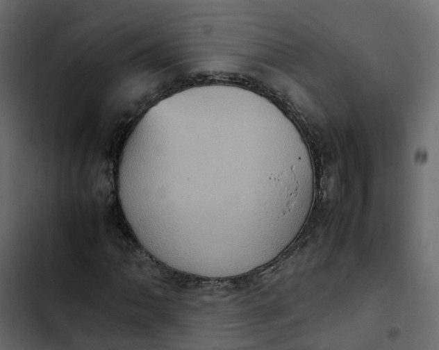 X0000102861062200809021419