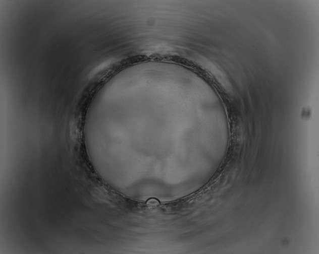 X0000102861063200809021419