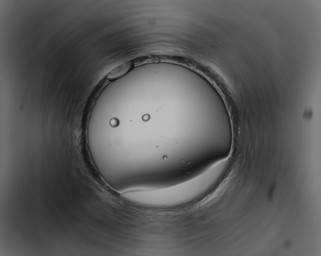 X0000102861065200809021419