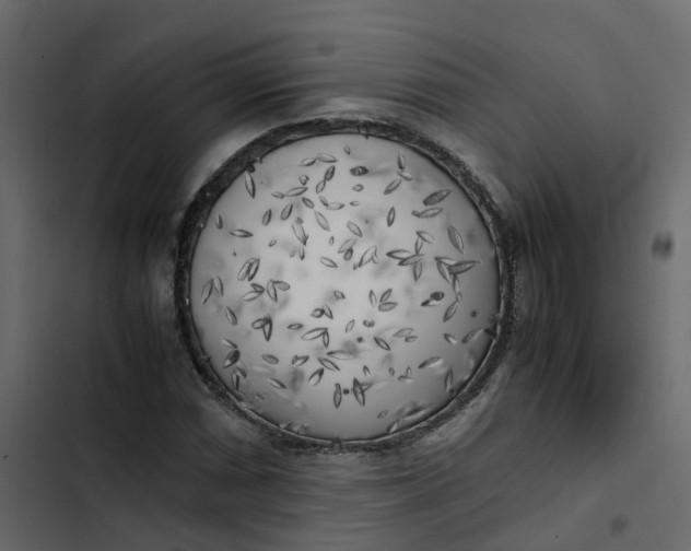 X0000102861066200809021419