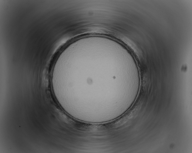 X0000102861067200809021419