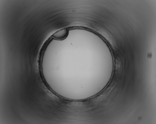 X0000102861068200809021419