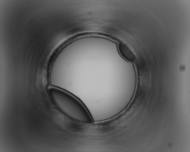 X0000102861069200809021419