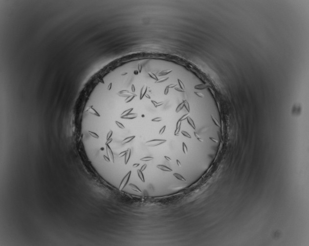 X0000102861070200809021419