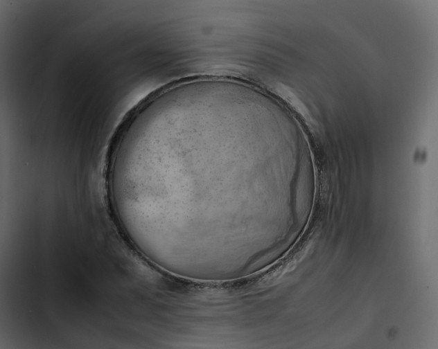 X0000102861071200809021419